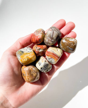 Crazy Lace Jasper Crazy Lace Jasper Halo Quartz